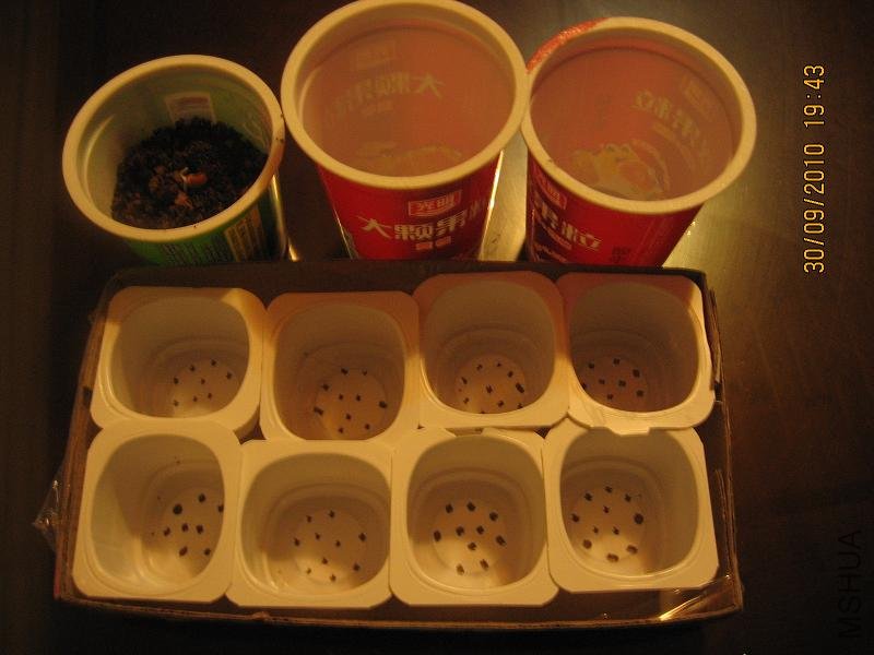 20100930 001.jpg