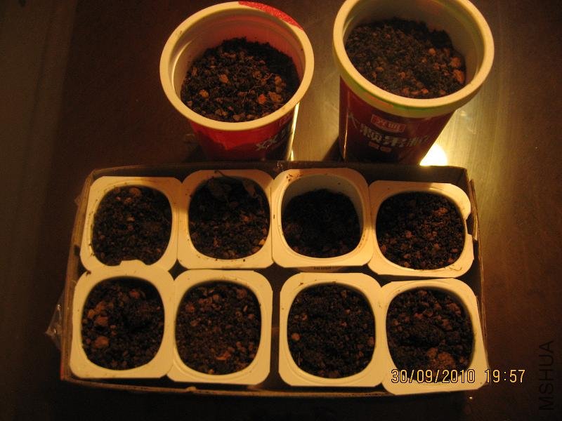 20100930 003.jpg