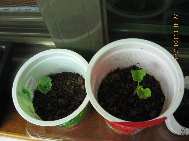20101007.jpg