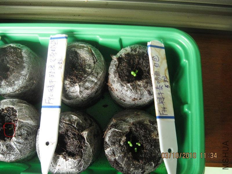 20101003 001.jpg