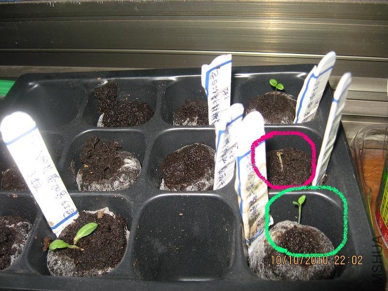 20101007 015.jpg