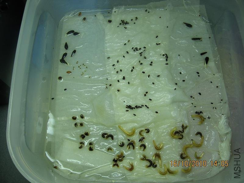 20101016 004.jpg