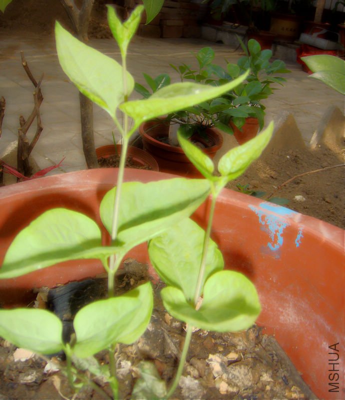 DSC03893.JPG