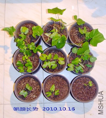 2010.10.16 ���ճ���.jpg