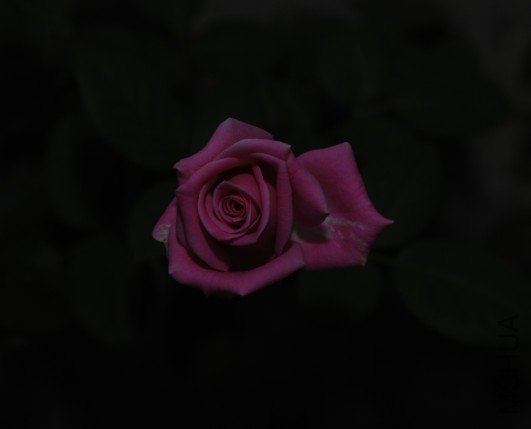 01.JPG