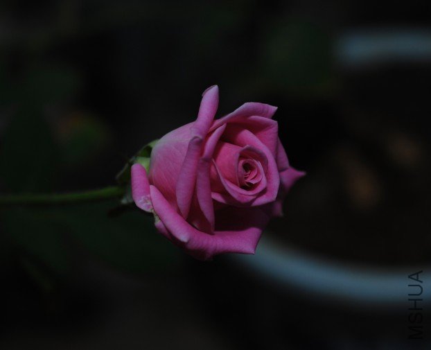03.JPG