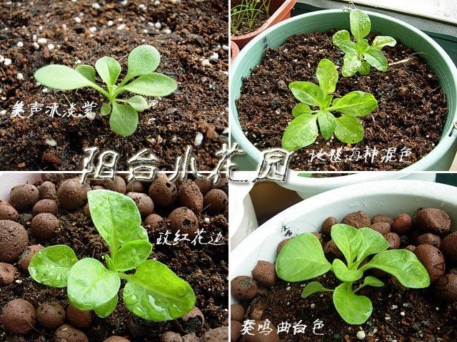 ��ǣţ1018��1��.jpg