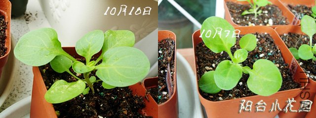 ��ǣţ1018��2��.jpg