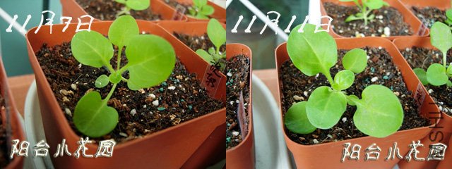 ��ǣţ1011��2��.jpg