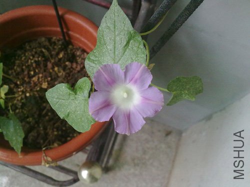 20101015189.jpg