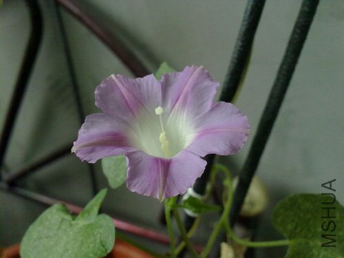 20101015193.jpg