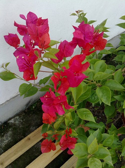 20101015196.jpg