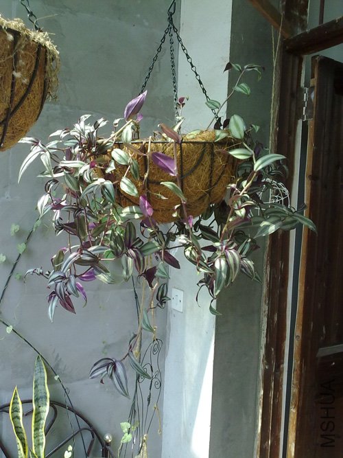 20101018201.jpg