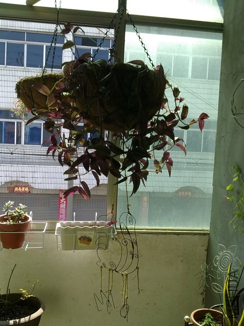 20101018200.jpg