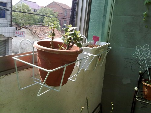 20101018206.jpg