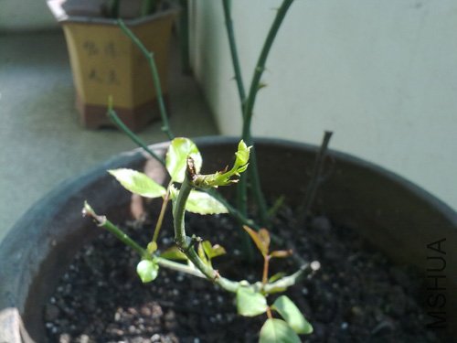 20101018209.jpg