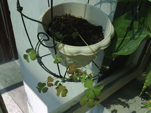 20101018211.jpg