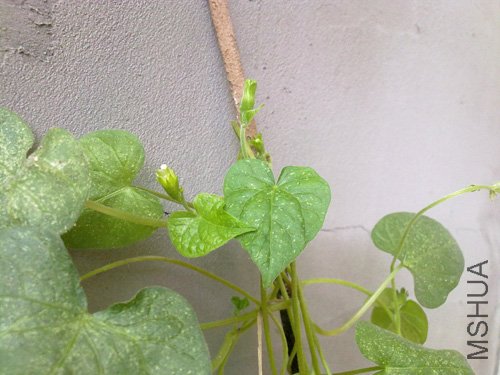 20101018222.jpg