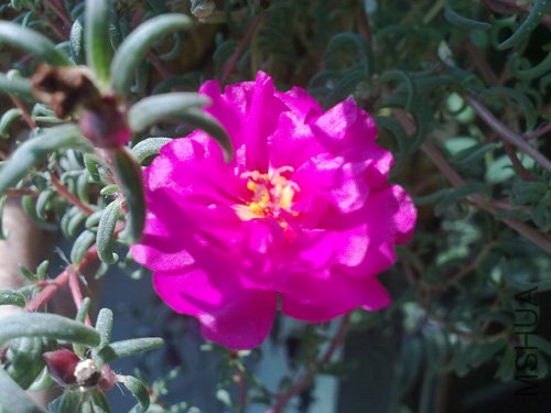 20101018217.jpg