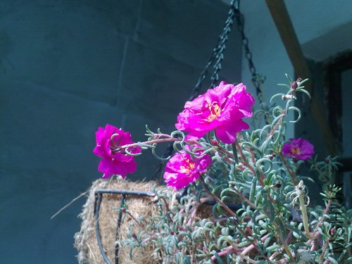 20101018215.jpg