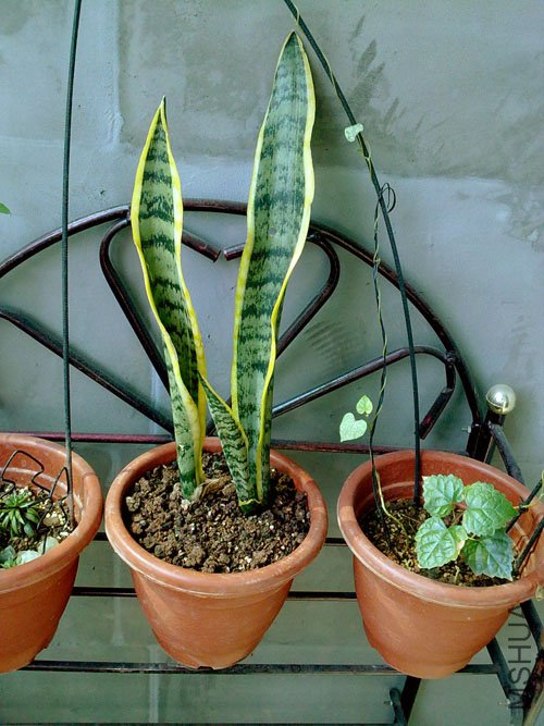 20101018219.jpg