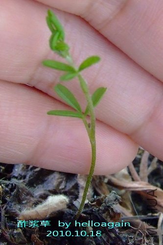 2010.10.18 ������.jpg