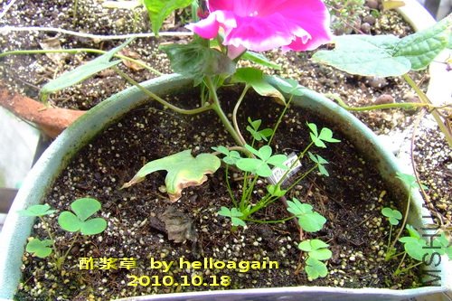 2010.10.18 ������ 2.jpg