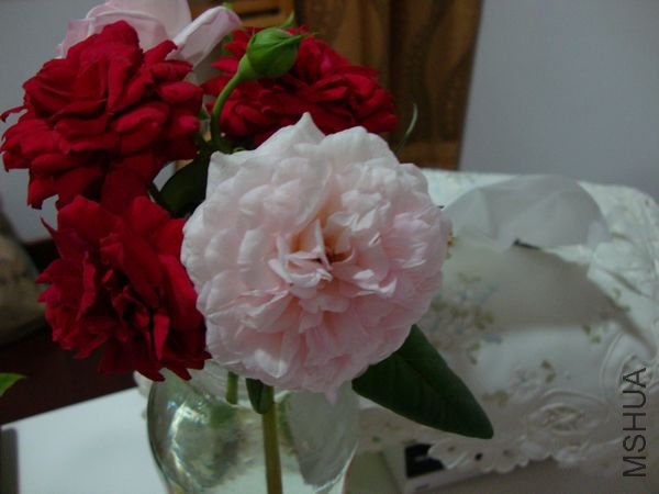 nEO_IMG_DSC00419.jpg