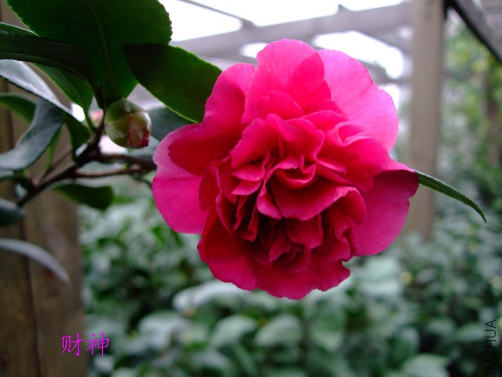 ��Ƭ10-10-19f 00211.jpg