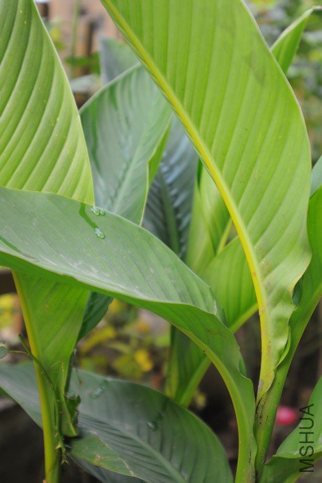 ���� ���˽�.jpg