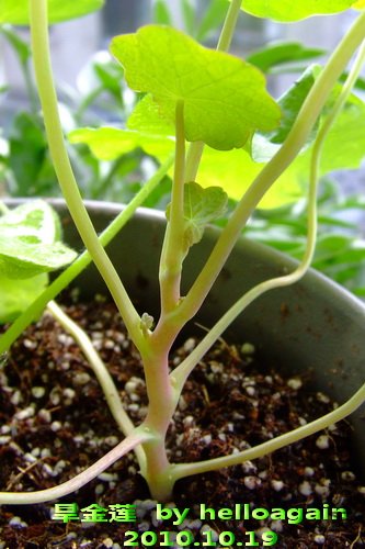 2010��10��19�� ������.jpg