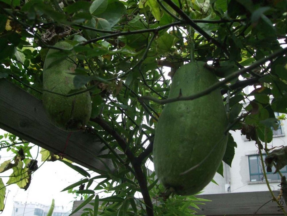 ��Ƭ10-10-20f 01211.jpg