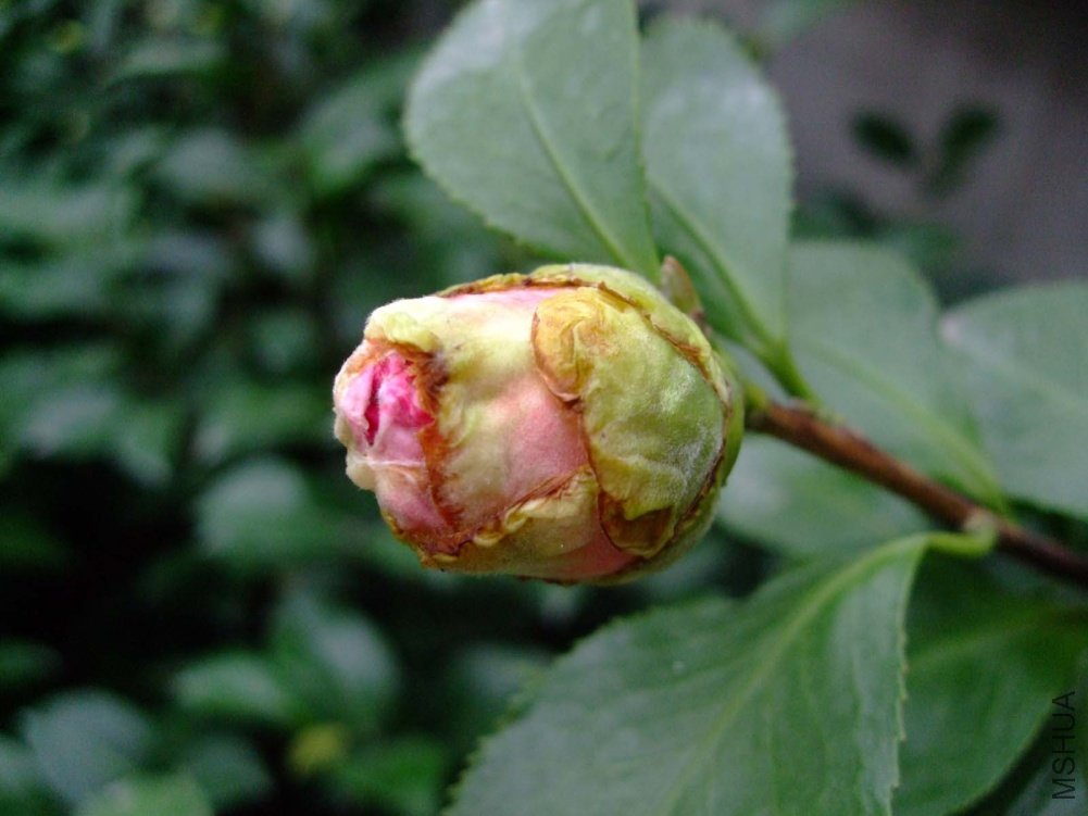 ��Ƭ10-10-20f 01711.jpg