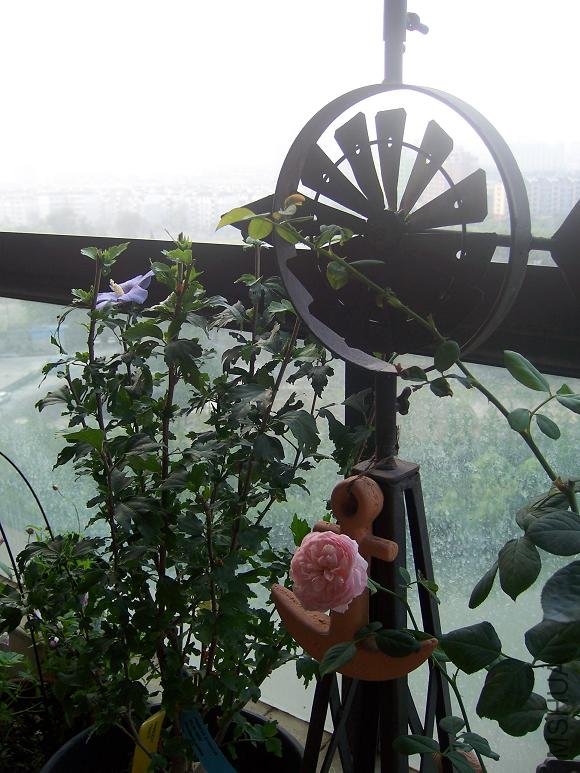 100_9354.JPG