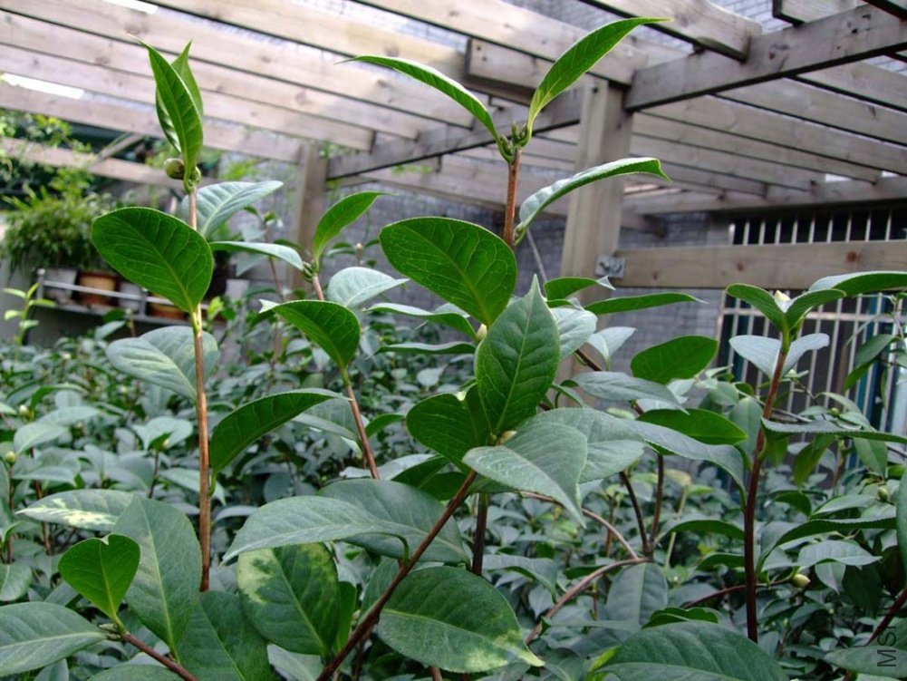 ��Ƭ10-10-21fu 00411.jpg