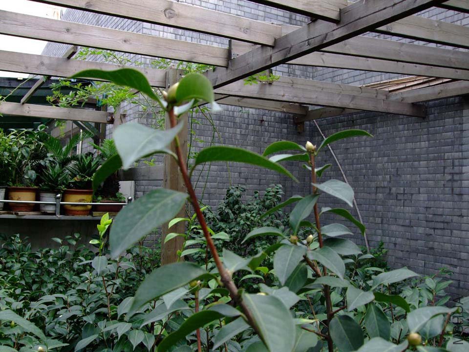 ��Ƭ10-10-21fu 00611.jpg