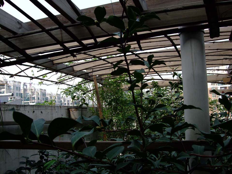 ��Ƭ10-10-21fu 00311.jpg