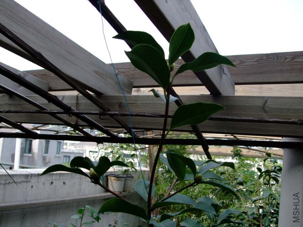 ��Ƭ10-10-21fu 00211.jpg