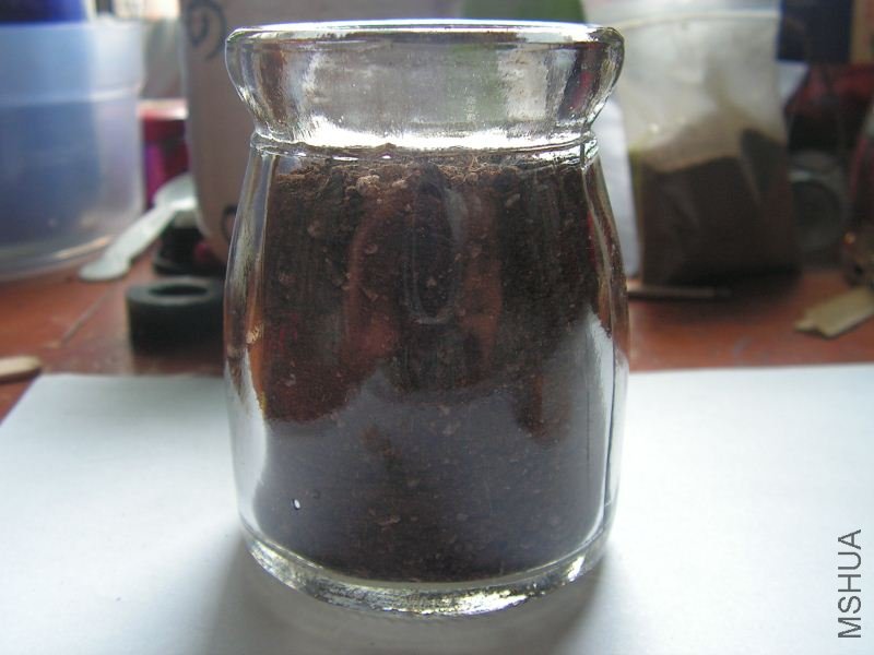 PICT0526_800x600.jpg