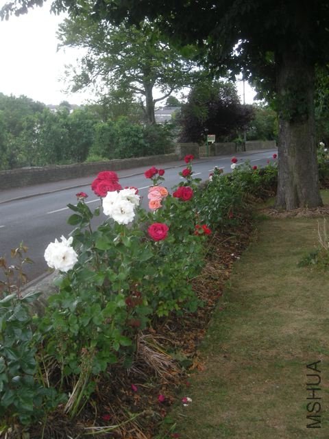 DSCN5075.jpg