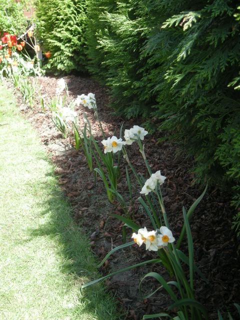 DSCN1790.jpg