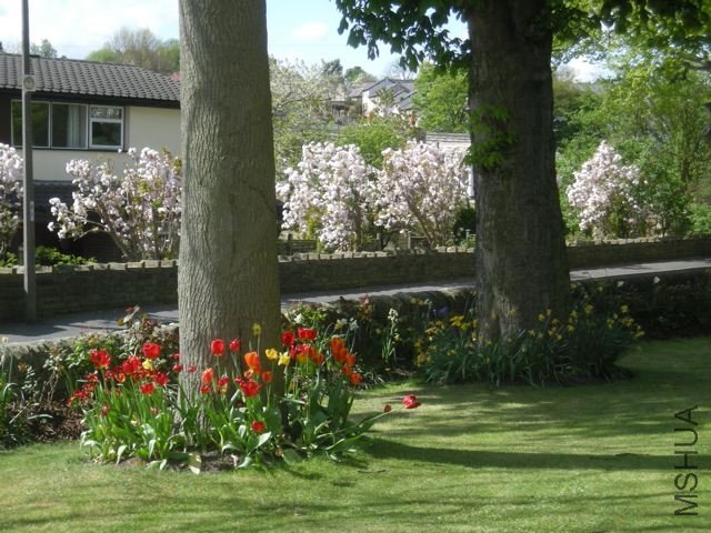 DSCN1792.jpg