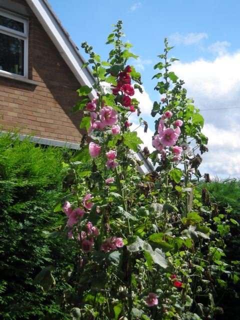 DSCN0438.jpg