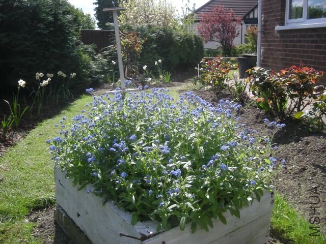 DSCN1800.jpg