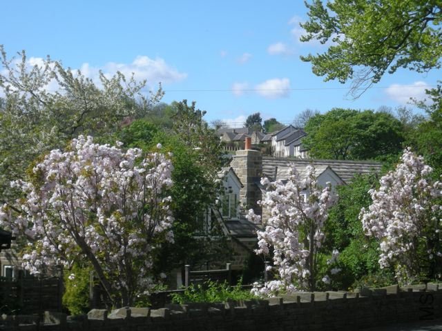 DSCN1795.jpg