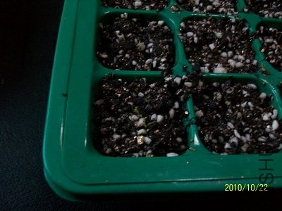 nEO_IMG_��Ƭ 314.jpg