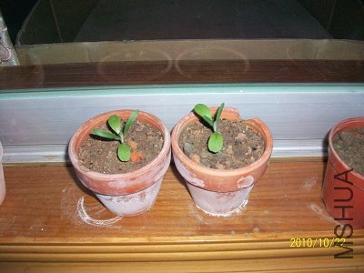 nEO_IMG_��Ƭ 316.jpg