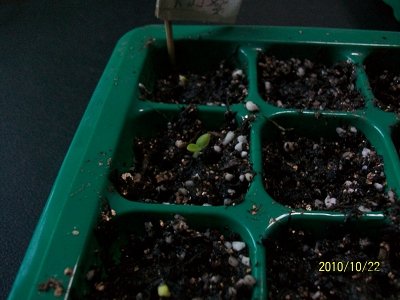 nEO_IMG_��Ƭ 313.jpg