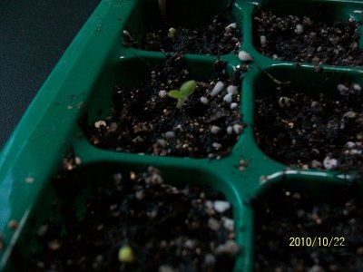 nEO_IMG_��Ƭ 312.jpg