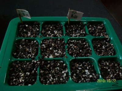 nEO_IMG_��Ƭ 315.jpg